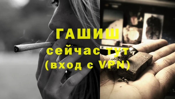 стафф Волоколамск