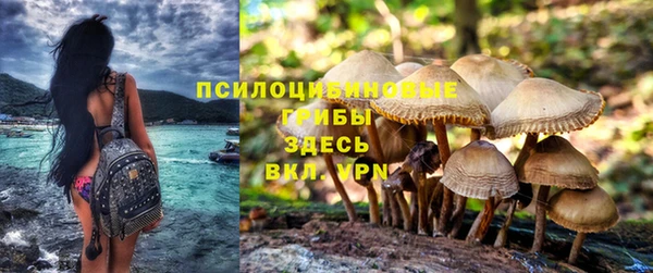 стафф Волоколамск