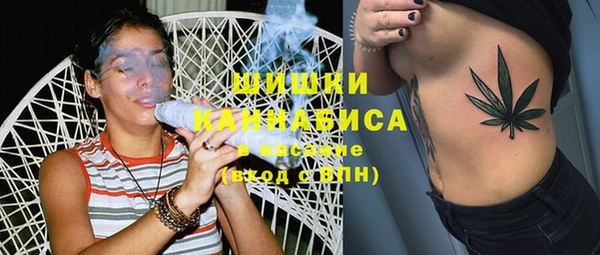 стафф Волоколамск