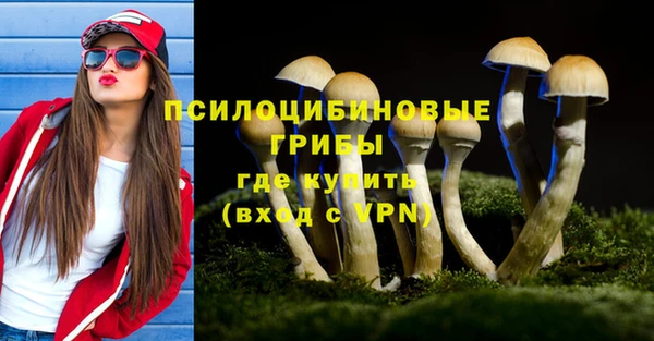 стафф Волоколамск