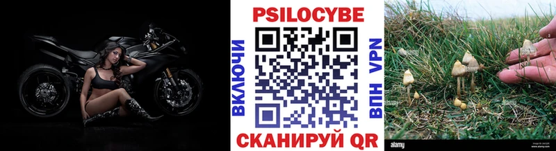 Галлюциногенные грибы GOLDEN TEACHER  omg вход  Воркута 